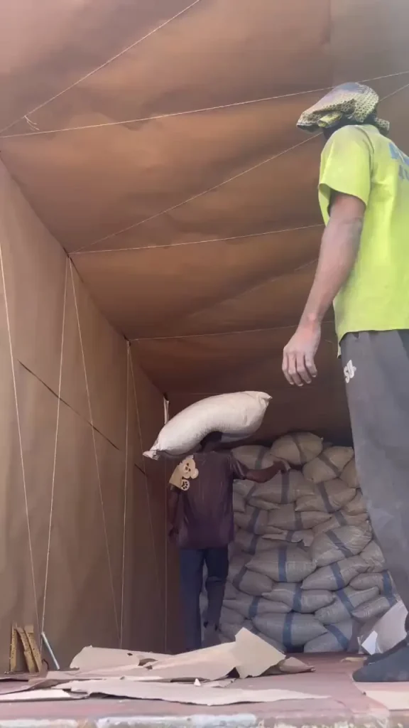 Carga de sacos de flor de Jamaica seca en un contenedor