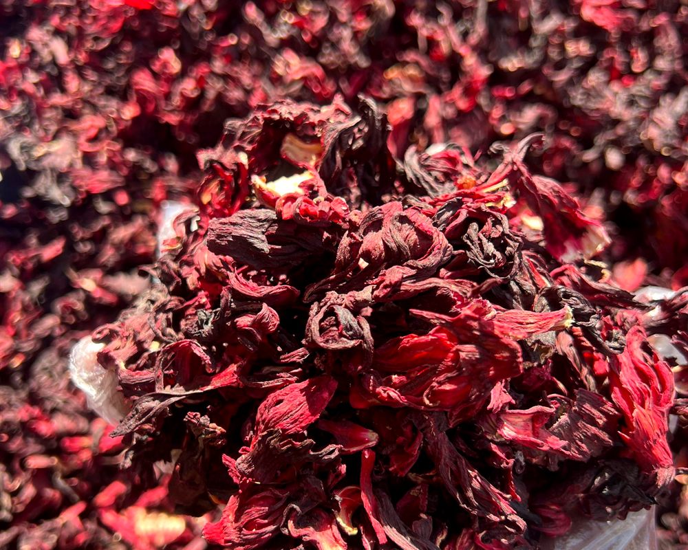 Cálices de flor de Jamaica seca de color rojo intenso (Hibiscus sabdariffa) de Nigeria