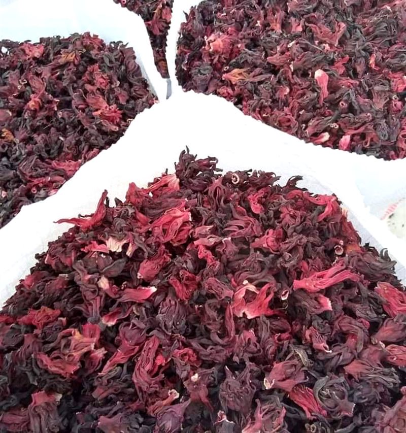 Flor de Jamaica seca entera en sacos de exportación abiertos en Nigeria