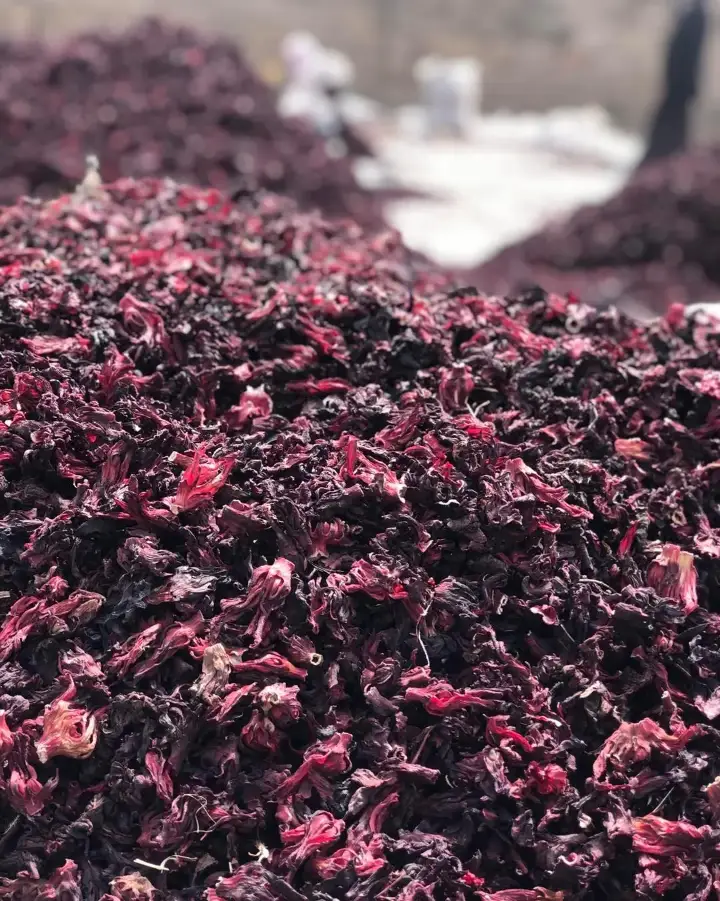 Flor de Jamaica seca (Hibiscus sabdariffa) de Nigeria